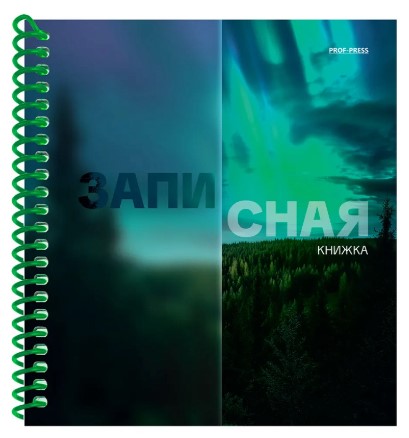 Снимок экрана 2026-08-09 091044