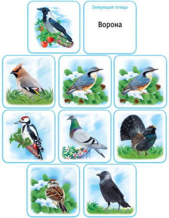 Развивающие  карточки  "Перелётные и зимующие птиц" Горчаков, 33  карточки , в конверте, 15.12.00021
